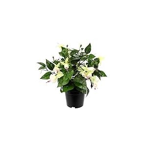 Flair Fleurs artificielles en Soie Fuchsia - Décoration - Fleurs artificielles - Double pétales - Plante hybrida Hort Flores - Blanc/Rose - 30 cm