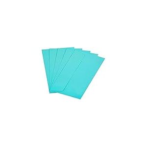 Raylu Paper® - Lot de 20 enveloppes colorées avec fermeture adhésive et sans fenêtre pour cadeaux de fête, mariage, anniversaire ou Noël. Enveloppes colorées de taille DL 110 x 220 mm (Bleu clair)