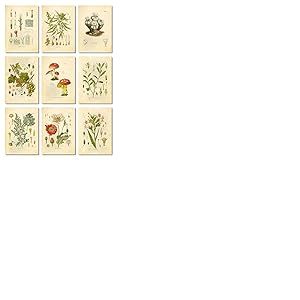 Ink Inc. Lot de 9 impressions artistiques vintage de plantes hallucinogènes psychoactives 12,7 x 17,8 cm Sans cadre Cannabis Coca Opium Tabac Absinthe Raisins LSD Champignons Peyote