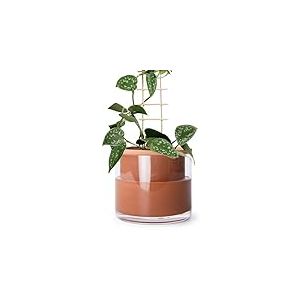 Phoenix Vine 51-A-F-1 Pot de Fleurs en Terre Cuite &agrave; arrosage Automatique pour int&eacute;rieur avec Vase en Verre 15,2 cm