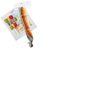 Anchor Kit de Broderie pour débutant Motif Champ de Coquelicots