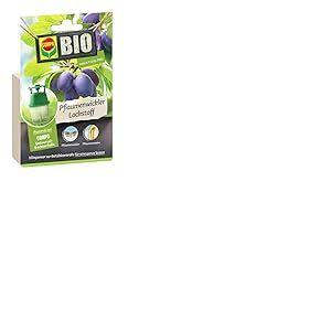 COMPO Lot de 8 bigoudis de prunes bio