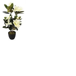 Flair Flower Magnolia Bourgeon de Magnolia en Pot avec Mousse Artificielle Magnolia Décoration Artificielle Artificielle Artificielle Fleur de Magnolia Fleur de Magnolia Décoration Blanc 68 cm