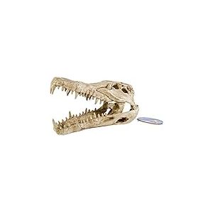 Pen Plax Rr1065 Crocodile Tête de Mort Animal Résine Ornement pour Aquarium
