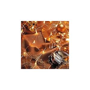 Hellum 583205 Micro intérieur Filet lumineux, acrylique, transparent, 200 x 100 cm