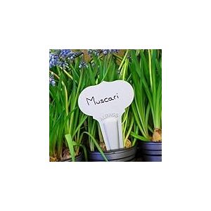 25 &Eacute;tiquettes pour Plantes en Aluminium &agrave; planter - Forme Og&eacute;e 10x6cm, Alu