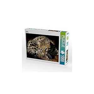 CALVENDO Puzzle Ocelot 1000 Pieces 64 x 48 cm from Martina Berg