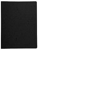 Exacompta - R&eacute;f. 240221E - Carton de 25 chemises de classement &agrave; ressort en carte lustr&eacute;e 355 g/m&sup2; - couverture imprim&eacute;e - chemise certifi&eacute;e FSC&reg; - dimensions 24 x 32 cm pour format A4 - noir