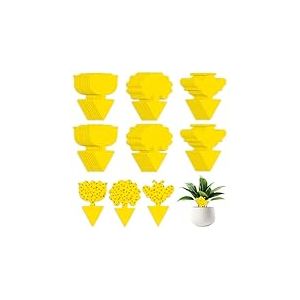 AiQInu 60 Pi&egrave;ges Anti Moucherons Interieur, Attrape Mouche Interieur Jaunes, Anti Pucerons Plantes Exterieur Attrape Mouche Collant pour la Lutte Contre Les Parasites des Plantes D'int&eacute;rieur