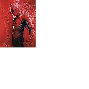 Komar Tableau Mural Marvel Spider-Man Through the Spider Web - Taille 30x40cm - Poster Chambre d'enfant Décoration - Roulé sans Cadre - Rouge