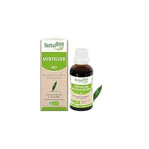 HerbalGem- Macérât-Mère - Myrtillier Bio - Complément Alimentaire Gemmothérapie Concentrée - Extrait De Bourgeon Frais - Pour Les Yeux - Vegan - 30 ml