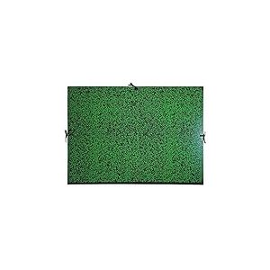 Exacompta Carton à dessin/chemise de rangement 500 x 750 mm en carton, annonay vert