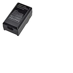 Amsahr CH-PANDMWBCG10E-1CT Numérique Remplacement Caméra/Caméscope Mini Batterie Voyage Chargeur pour Panasonic Dmw-Bcg10/Dmw-Bcg10E/Dmw-Bcg10Pp Gris