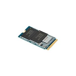 OWC 480GB Aura P13 Pro PCIe 3.0 NVMe M.2 2242 SSD
