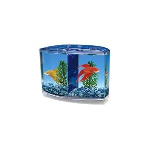 Penn-Plax Twin Betta Bow-Front Kit pour Aquarium Bleu, Vert, réservoir Mesure 19,1 cm à l'avant, 15,2 cm à l'arrière