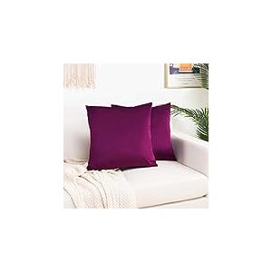 Elegant Comfort Lot de 2 Housses de Coussin d&eacute;coratives carr&eacute;es en Velours Doux de Couleur Unie pour canap&eacute;, Chambre &agrave; Coucher, Voiture, 50,8 x 50,8 cm, Aubergine/Violet