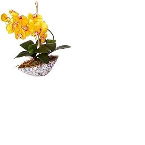 NearlyNatural Phalaenopsis Orchidée Artificielle Vase en Soie Jaune