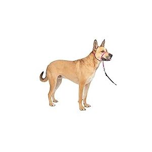 PetSafe Gentle Leader Collier Anti-Traction pour Chiens, Collier pour Chien – La Solution Ultime pour Tirer, Boucle de Nez rembourrée, Sangle de Cou à Fermeture Rapide, Licol pour Chien, Taille M,