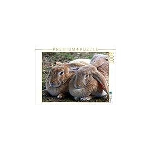 CALVENDO Puzzle Zwei Dicke Freunde 1000 Teile Puzzle quer 1000 Pieces 64 x 48 cm from Kattobello