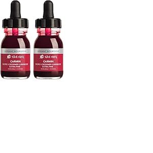 Lefranc Bourgeois Encre De Couleur Indélébile Nan-King Flacon 30ml Carmin (Lot de 2)