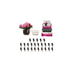 Blumat Classic Piques d'arrosage - Syst&egrave;me d'arrosage Automatique pour Pots - Accessoire pour Plantes et arroseur Automatique (Lot de 25)