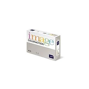 Coloraction 838A 160S 30 Antalis Papier couleur A4 160 g/m&sup2; Gris/30 (Import Allemagne)