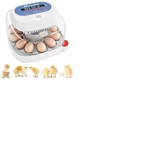 Sailnovo Couveuse Oeuf Automatique 12 Oeufs, Couveuses Oeuf Pour ufs de Volailles avec 4 Modes vue à 360°, Incubateur Oeuf Retournement Automatique des Oeufs et Contrôle de la Température(bleu)