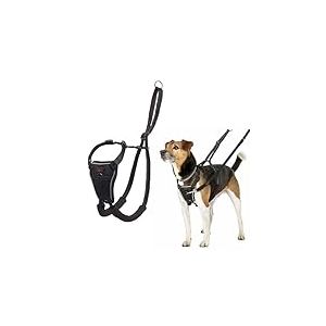 Harnais Anti-Traction HALTI, Taille XS, pour Que Votre Chien arrête de Tirer sur sa Laisse, Réfléchissant, Sangle de poitrail et des Pattes Avant rembourrée, Harnais Anti-Traction pour Petits Chiens