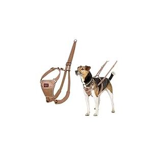 Harnais Anti-Traction HALTI - pour Que Votre Chien arrête de Tirer sur sa Laisse, Sangle de poitrail et des Pattes Avant rembourrée, Harnais pour Petits Chiens (Taille XS, Sable du Désert)