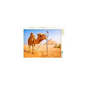 CALVENDO Puzzle Chameau et chas d'aiguille - Pas de Chance pour Les pachydermes | 1000 pièces - Taille de la Pose 64 x 48 cm - Puzzle Photo pour des Heures heureuses