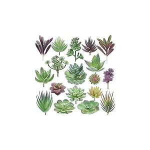miltonson Lot de 18 Plantes succulentes artificielles – Plantes artificielles de qualité supérieure – Double Flocage – Cactus texturé réaliste – Plantes succulentes pour Visage – Mini Plantes