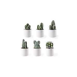 Artifloral Plantes Cactus Artificiel avec Pots en Céramique, Lot de 6, Mini Fausses Plantes, pour la Décoration Intérieure, Maison, Bureau Étagère de Table, Blanc