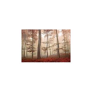 Scenolia Tableau Toile XXL en kit Forêt Pourpre 90 x 60 cm - Toile Textile sans PCV - Tableau Grand Format fabriqué en France