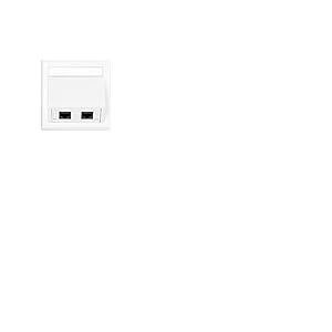 Vivolink - Wall Connection Box 2xrj45 cat5e, wi231283 (2xrj45 cat5e Can be Used externally Or Inside thorsman)