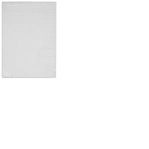 -Luxor- Living Coste Tapis Moelleux en Fausse Fourrure pour Chambre &agrave; Coucher - Id&eacute;al comme Descente de lit pour Chambre &agrave; Coucher - Tapis Confortable en Fourrure d'agneau - 120 x 170 cm - Blanc