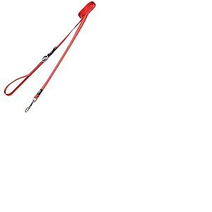 Rogz Utility Petite 3/20,3 cm réfléchissant Nitelife Fixe de 1,8 m de Long Laisse pour Chien