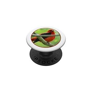 Photographie colorée de tangara écarlate motif oiseau PopSockets PopGrip Adhésif
