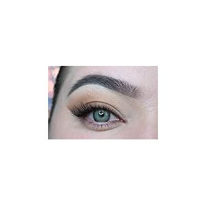 MYSALENS&reg; Lentilles De Contact De Couleur Premium Gray Gris Naturelle tr&egrave;s haute opacit&eacute; Kit De Rangement Boitier Pince et applicateur Offert 12 Mois sans correction