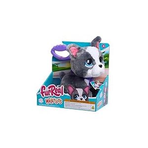 Just Play Peluche Interactive à l’effigie d’Un Bouledogue français de FurReal, Chiot en Peluche Marcheur mesurant 20,3 cm de Haut avec Fonctions sonores, Jouets pour Enfants de 4 Ans et Plus