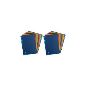 OXFORD Intercalaires Neutres Color Life A4 12 Positions Couverture Polypro 30/100ème Coloris Assortis (Lot de 2)