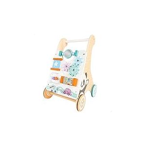 ColorBaby WOOMAX 49320 - D&eacute;ambulateur b&eacute;b&eacute; en Bois, Chariot &agrave; Jouets avec activit&eacute;s de Jeu et Miroir, +12 Mois