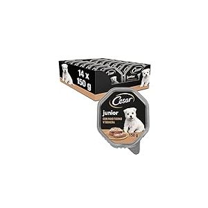 Cesar Junior Nourriture pour Chien Chiot Puppy avec Dinde Tendre et Veau 150 g - 14 bacs