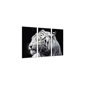 Tableau Moderne Photographique, Impression sur bois, Animaux sauvages de la nature, tigre blanc, 97 x 62 cm, ref. 26417