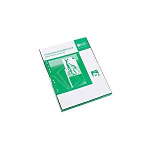 D.RECT Lot de 100 Pochettes Perforées A4 – 55 Microns – Pochettes Perforées Transparent Lisse – Emballage Carton – Protège-Documents pour Bureau, Maison, École – Rangement Sécurisé