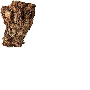 Komodo Morceau d'écorce moyen pour reptiles et amphibiens