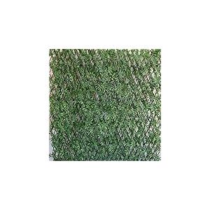 Tenax Divy 3D X-Tens Red Acer Palmatum 1,00x2 m Vert, Treillis Extensible en Bois Naturel Recouvert de Feuilles de Érable, Brise-Vue pour Balcons et Terrasses, Décoration de Murs