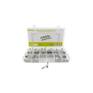 SeKi 160 fusibles fins 6 x 30 assortis, 160 pièces, 16 types, 8 fusibles rapides + 8 fusibles temporisés 0,8 A, 1,25 A, 1,6 A, 2 A, 2,5 A, 3,15 A, 4 A et 6,3 A ; fusible tubulaire en verre