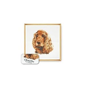 Trimits Grand kit de point de croix personnalisé pour adultes débutants, décoration murale pour amoureux des animaux, propriétaires de chiens, 11 points, 36 x 36 cm, Cocker Spaniel (cadre non inclus)