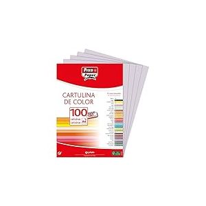 Fixo Paper 11110472 Lot de 100 feuilles de papier cartonné A4 Gris perle 180 g