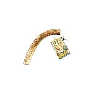Dehner Best Nature Friandises pour Chien, friandises de qualité supérieure à Faible Odeur / 100% Naturel, à mâcher pour Chien, Bois de cerf Rouge, Taille L